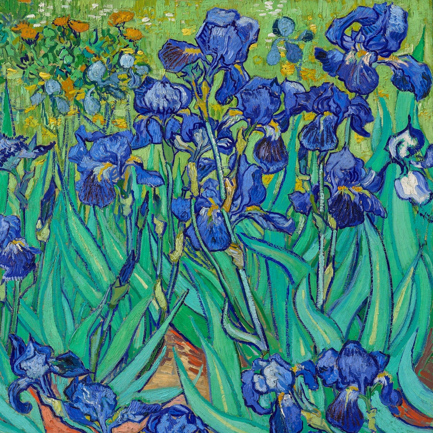 Plant Shower Curtain, Van Gogh Bathroom, Nature Shower Curtain, Van Gogh Decor, Blue Flowers, Art Shower Curtain, Floral Shower Curtain