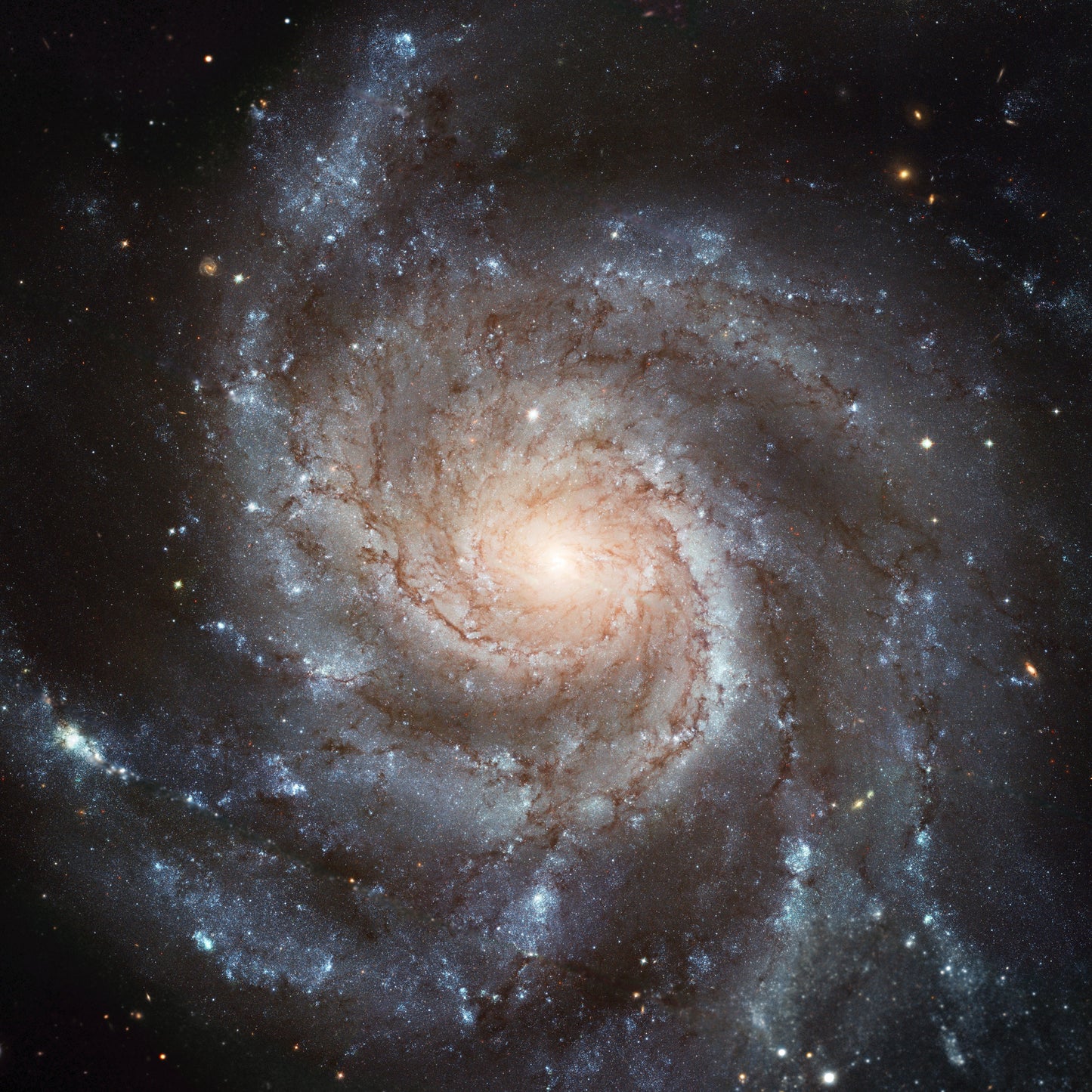 Galaxy Space Photography Astronomy Black NASA Wall Tapestry
