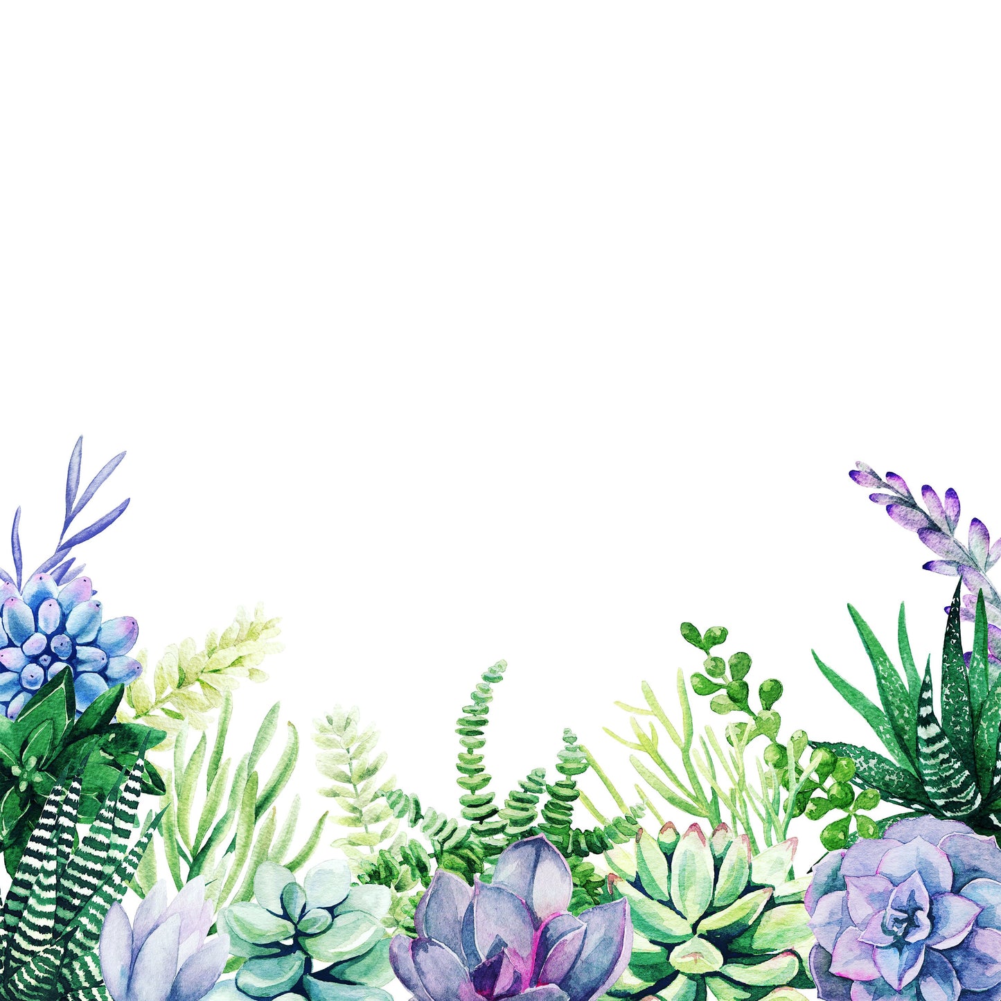 Cactus Shower Curtain, Succulent Shower, Succulent Decor, Purple Shower Curtain, Botanical Bathroom, Plant Shower Curtain, Cactus Bathroom