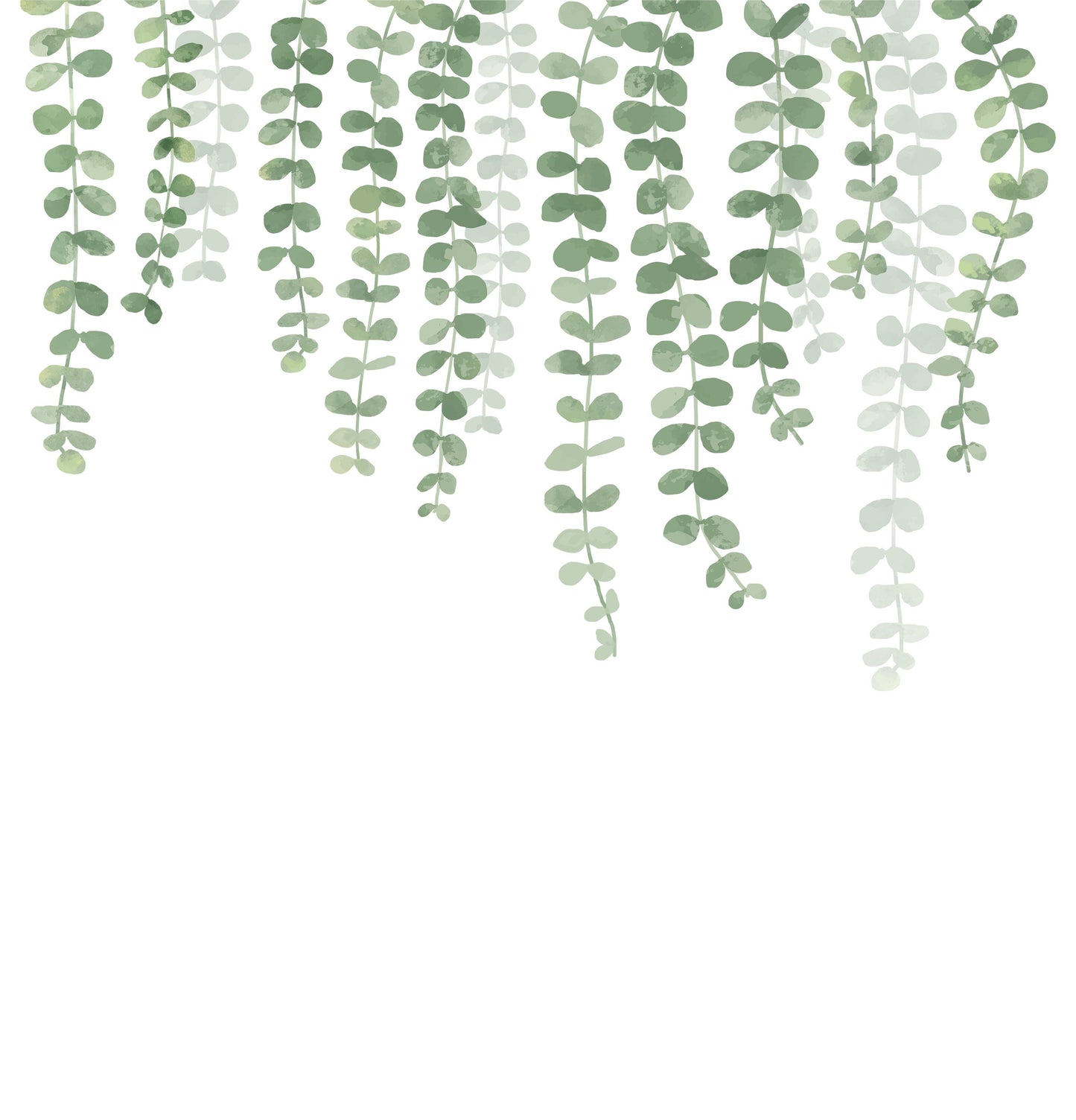 Botanical Shower Curtain, Eucalyptus Bathroom, Plant Shower Curtain, White Shower Curtain, Minimalist Shower Curtain, Green White Bathroom