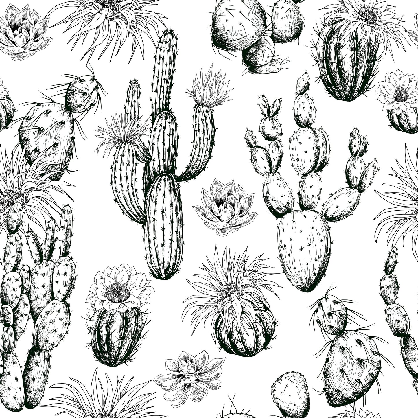 Cactus Shower Curtain, Desert Decor, Desert Shower Curtain, Cactus Decor, Plant Shower Curtain, Cacti Decor, Botanical Bathroom, Plant Decor