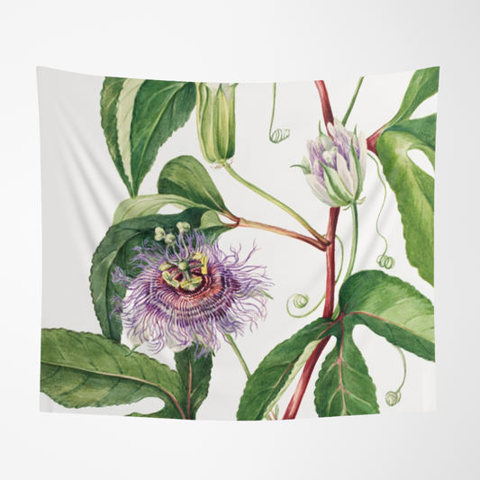 a painting of a flower on a white background